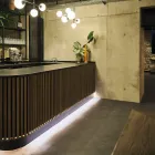 Home traphan malermeister malerarbeiten paderborn